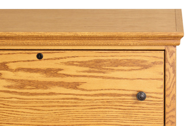 Traditional 2 Drawer Lateral File Cabinet