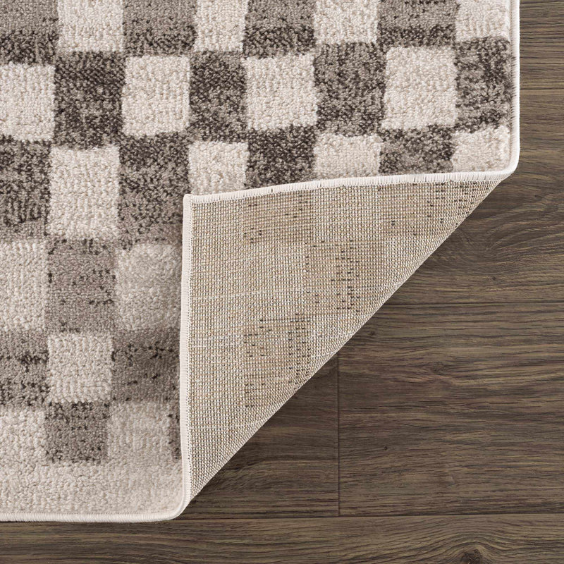 Benjy Beige Checkered Area Rug