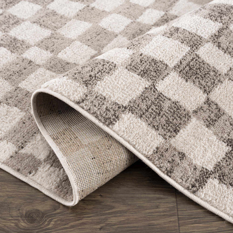 Benjy Beige Checkered Area Rug