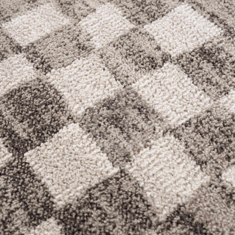 Benjy Beige Checkered Area Rug