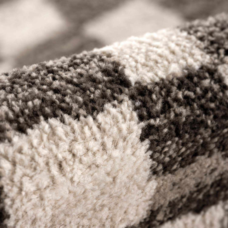 Benjy Cream & Charcoal Checkered Area Rug